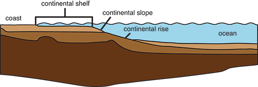 Geological forces formed the Mid-Atlantic's deep submarine canyons. Credit:  Bureau of Ocean Energy Management